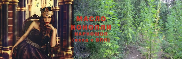 спиды Козловка