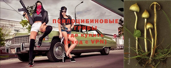 винт Козельск